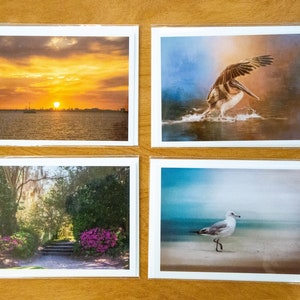 Note Cards 4 Pack, Fine Art, Photography, Blank Greeting Cards, With Envelopes and Plastic Sleeves, Colorful, Charleston Charm, 4.5 X 6.25,
