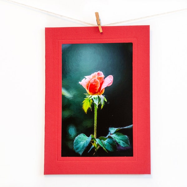 Fine Art Folded Note Card, 5x7 Matted Greeting Card With 4X6 Photo Print, Blank Inside, With Envelope and Plastic Sleeve, Red Rose Card