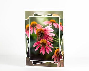 Fine Art Note Card, 5x7 Greeting Card, Blank Inside, White Envelope, Colorful Coneflower Photo Art, Fancy Tiered Layers,