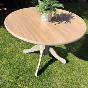 May include: A circular wooden table with a light brown surface and a grey trim. The table has a pedestal base with three curved legs. A small potted fern sits on the table's surface. The table is on a green lawn.