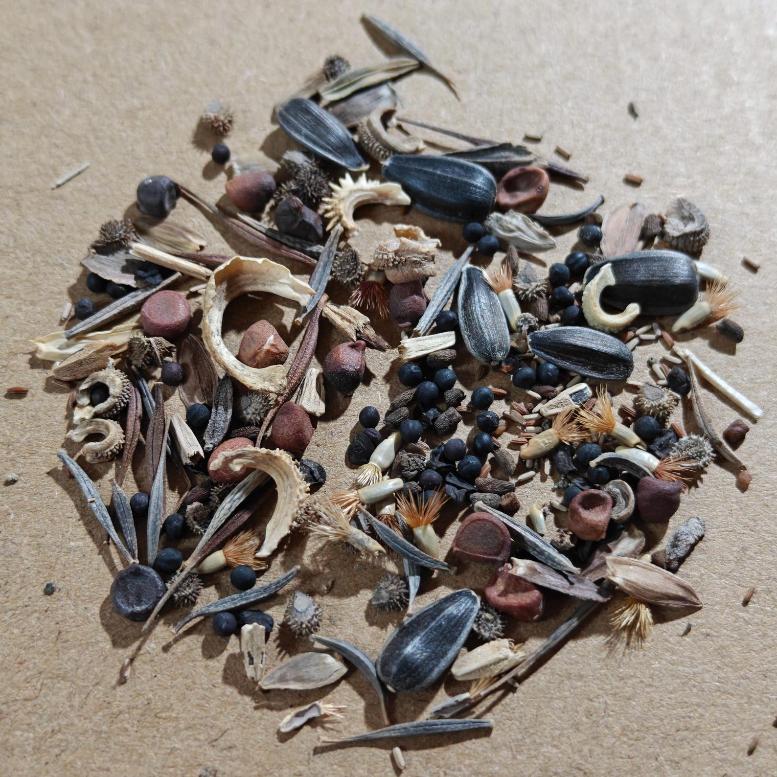RUSH Hummingbird Memorial Favors, in Loving Memory Wildflower Seed ...