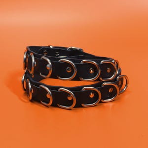 The Havoc Belt - wide black leather belt coiled in two rows showing the line of welded nickel D-rings and rivets