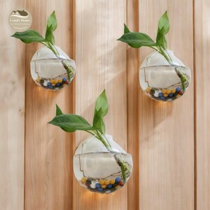 May include: Three clear glass wall-mounted vases with a rounded shape. Each vase contains water and small colorful stones. The vases are attached to a wooden wall.