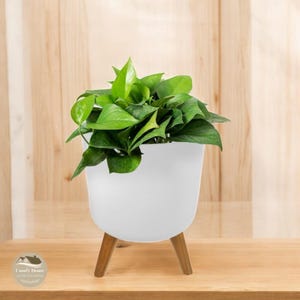 Moderner Blumentopf im nordischen Stil mit Holzbeinen, dekorativer Pflanzentopf, Pflanzentopf aus ABS & Holz für Zimmerpflanzen, Geschenkidee