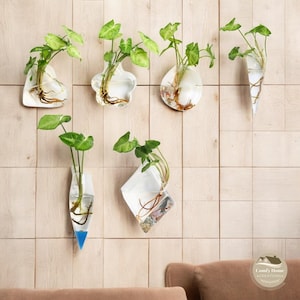 Puede incluir: Seis jarrones de vidrio transparente con diferentes formas y tamaños, cada uno con una planta verde cuyas raíces son visibles en el agua. Los jarrones están montados en una pared de madera clara. El texto "Comfy Home Creations" es visible en la esquina inferior derecha de la imagen.