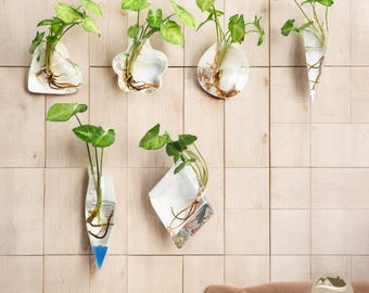 Unregelmäßige Hydroponische Glasvase: Moderne Pflanzendekoration