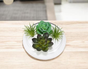 Elegant Glass Hydroponic Planter: Minimalist Home Decor