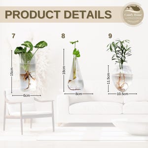 May include: Three different glass vases with plants inside. The vases are clear glass and the plants are green. The vases are labeled with numbers 7, 8, and 9. The vases are 6 cm, 8 cm, and 10.5 cm wide. The vases are 15 cm, 18 cm, and 11.5 cm tall.