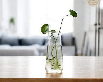 Elegant Glass Hydroponic Vase: Modern Home Decor Centerpiece