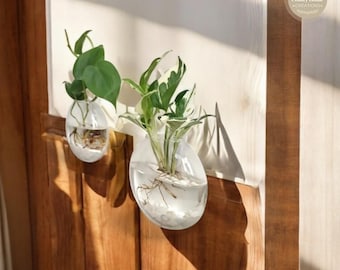 Hanging Glass Plant Terrarium: Wall Vase, Home Decor Gift