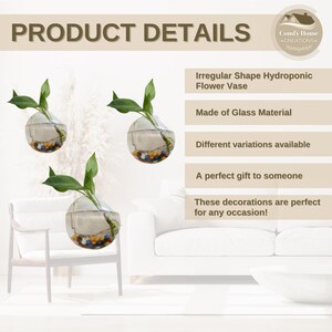 May include: Three clear glass vases with irregular shapes, each containing a small plant and colorful decorative stones. The vases are hanging in a room with a white couch and a wooden chair. The text "Irregular Shape Hydroponic Flower Vase" is visible in the image.