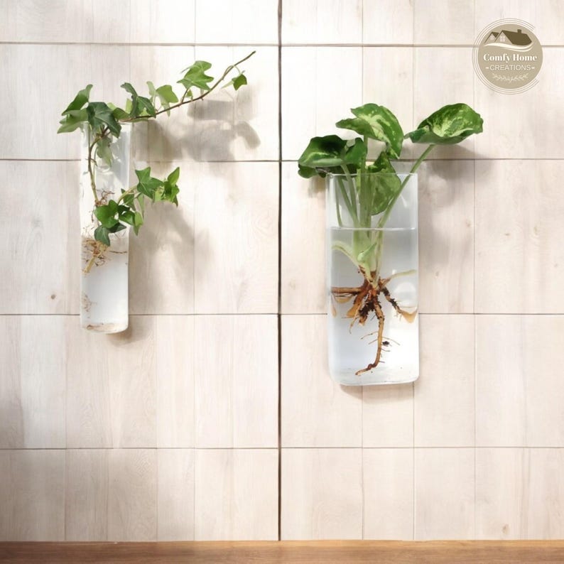 May include: Two clear glass vases with plants inside, mounted on a white tiled wall. The vase on the left has a small green plant with roots visible in the water. The vase on the right has a larger green plant with roots visible in the water. The text "Comfy Home Creations" is visible in the top right corner of the image.