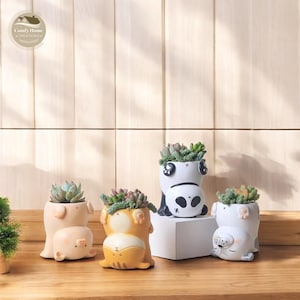 Op de afbeelding: Vier kleine keramische potten in de vorm van dieren, elk met een vetplant erin. De potten zijn een panda, een varken, een kat en een hond. De potten staan op een houten oppervlak.