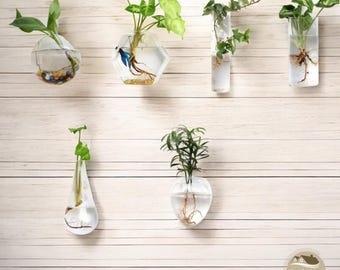 Irregular Glass Hydroponic Vase: Root Display Planter