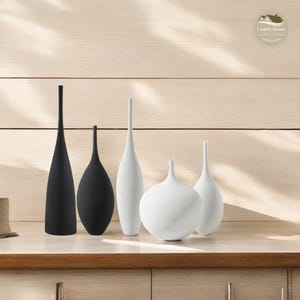 Puede incluir: Colección de cinco jarrones decorativos de diferentes formas y tamaños. Dos son negros y tres blancos. Los jarrones están colocados sobre una superficie de madera clara, con una pared de paneles de madera clara al fondo. Diseño moderno y minimalista.