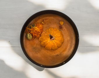 Pumpkin patch