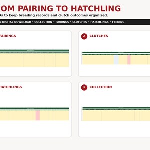 Reptile Breeder Spreadsheet | Collection, Pairing, Clutch, Hatchling & Feeding Tracker | Snake Breeding Excel Download
