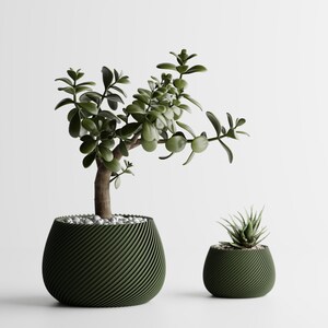 May include: A jade plant with thick green leaves and a woody stem planted in a dark green, ribbed, bowl-shaped planter filled with small white stones, alongside a smaller, matching dark green ribbed planter containing a spiky green succulent.