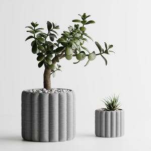 May include: Two cylindrical planters with a vertical ribbed texture in a matte gray finish. The larger planter holds a jade plant with green leaves and a brown stem, while the smaller planter contains a small, spiky green succulent plant.