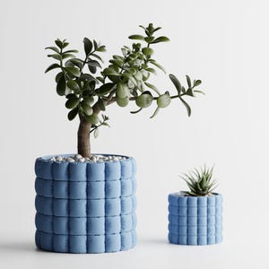May include: Two cylindrical light blue planters with a quilted, grid-like texture. The larger planter holds a green jade plant with thick leaves, while the smaller planter contains a small, spiky succulent. Both pots have white pebbles.