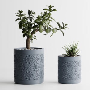 May include: Two blue-gray cylindrical planters with a floral pattern. One planter holds a jade plant, the other a succulent. The plants have green leaves and are set against a white background. The planters are approximately 6 and 4 inches tall.