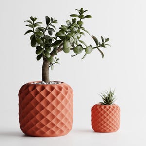 May include: Two terracotta-colored geometric planters, one large and one small, each with a diamond pattern. The larger planter holds a small tree with green leaves, while the smaller one contains a small succulent. The planters are on a white background.