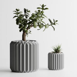 May include: Two gray, geometric-patterned planters, one large and one small, each holding a green succulent plant. The larger planter has a small tree-like plant with a brown trunk. The planters are on a white background.