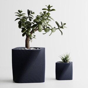 May include: Two dark blue, square-shaped planters with a textured, spiraling design. One planter holds a jade plant, the other a small succulent. The planters are filled with small white stones.