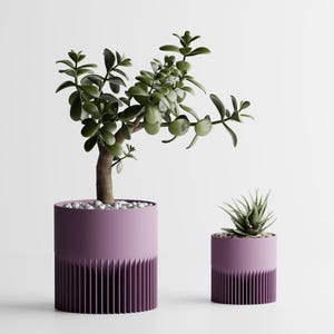 May include: Two cylindrical planters with a two-tone purple design featuring a smooth upper section and a vertically ribbed lower base. The larger planter holds a jade plant, while the smaller planter contains a spiky succulent plant.
