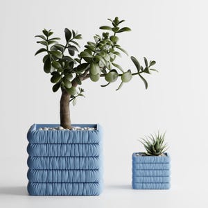 May include: Two square, light blue planters with a pleated, fabric-like texture. The larger planter holds a green jade plant with thick, rounded leaves, while the smaller planter contains a small, spiky succulent plant with pointed leaves.