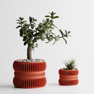 May include: Two terracotta-colored planters with a ribbed, cylindrical design. The larger planter holds a jade plant with green leaves and a thick stem, while the smaller planter contains a spiky succulent. Both pots feature a textured surface.