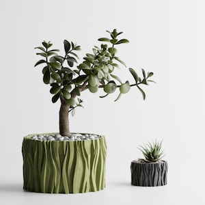 May include: A jade plant with thick green leaves and a woody stem planted in a large, cylindrical, olive green textured planter with vertical wavy ridges, accompanied by a smaller, matching dark gray planter containing a small succulent plant.