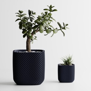 May include: Two dark blue, textured planters, one large and one small, each holding a green plant. The larger planter contains a small tree with a brown trunk and green leaves. The smaller planter holds a succulent.