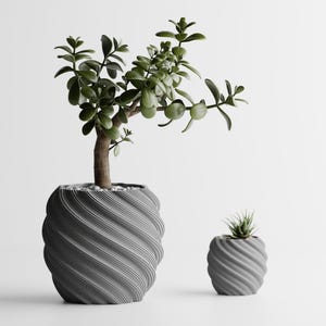 May include: Two gray planters with a spiraling, ribbed texture. The larger planter holds a green jade plant with thick, rounded leaves. The smaller planter contains a small, spiky air plant. Both containers feature a consistent, uniform design.