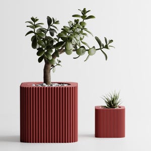 May include: Two red square planters with vertical ribbed detailing. The larger planter holds a small tree with green leaves and white pebbles. The smaller planter contains a succulent. Both are set against a white background.