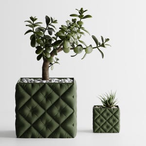 May include: Two square planters in a dark olive green color with a tufted, quilted diamond pattern on the exterior. The larger planter holds a jade plant with thick green leaves, while the smaller planter contains a small, spiky succulent plant.