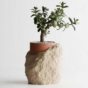 May include: A small jade plant in a terracotta pot, set atop a textured, beige stone base. The plant has dark green leaves and a brown trunk. The pot is filled with small, white pebbles.