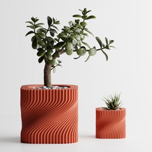 May include: Two terracotta-colored, textured planters with a swirling design. The larger planter holds a small tree with green leaves and white pebbles. The smaller planter contains a succulent. Both are set against a white background.