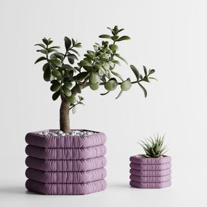 May include: Two hexagonal planters in a soft mauve fabric with a pleated, stacked texture. The larger planter holds a jade plant with thick green leaves, while the smaller planter contains a small succulent. Both are filled with white pebbles.
