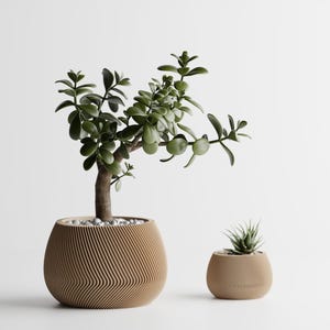 May include: Two round, tan-colored planters with a textured, wavy, ribbed exterior pattern. The larger planter holds a jade plant with thick, green, oval-shaped leaves, while the smaller planter contains a small, spiky, green succulent plant.