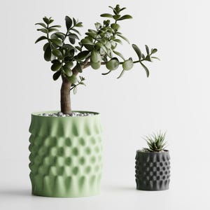 May include: Two decorative planters with plants. A large, light green planter with a textured pattern holds a small tree. A smaller, dark gray planter with a similar pattern contains a succulent plant. Both are set against a white background.
