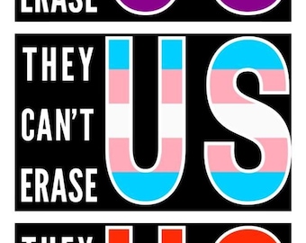 3 Pride Flag Posters, They Can&#39;t Erase US Pride Graphic Signs, Ally Signs, Rainbow Love Signs, LGBTQ+ Gay Pride Rally Signs wordCraftVINTAGE