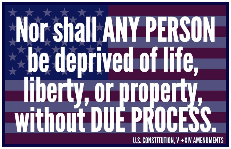 Due Process Protest Posters: 5th/14th Amendment, Flag & Scales (digital ...