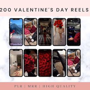 Valentines Day Reels | Instagram Reels | Tiktok | Digital Marketing | MRR | PLR | Social Media Content Creation