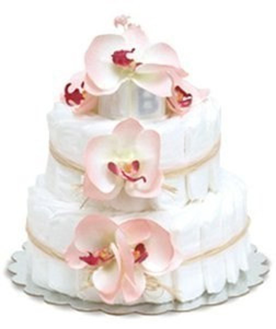 How to Bake a Diaper Cake Recipe Instant Delivery Digital Ebook Great