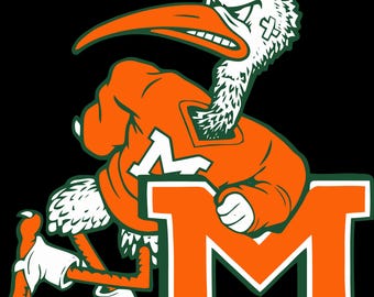 Sebastian the Ibis with M