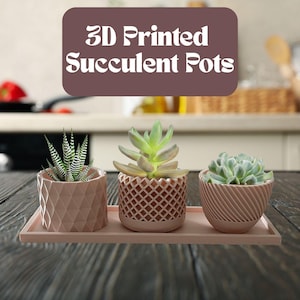 3D Printed Succulent Planter Set: Boho PLA Plastic Indoor Pots