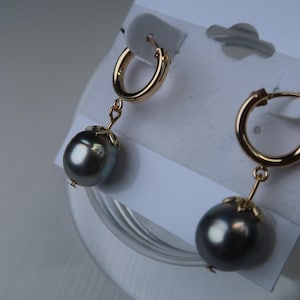 Tahitian Pearl Gold Filled Hoops