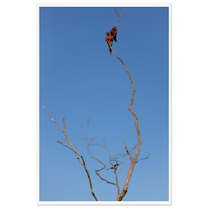 Photo print | Wall art | Home Office decor