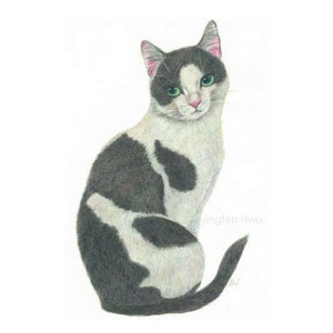 sleepy cat lover gifts cat art print grey cat drawing aqua colored pencil 6x8 print 8x3 print